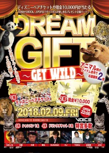 dreamgift2